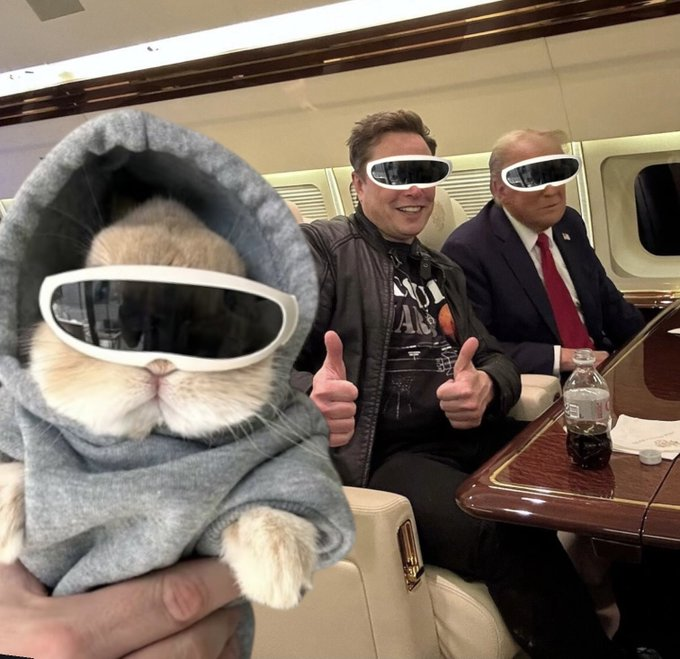 This bunny taking over timelines $shades